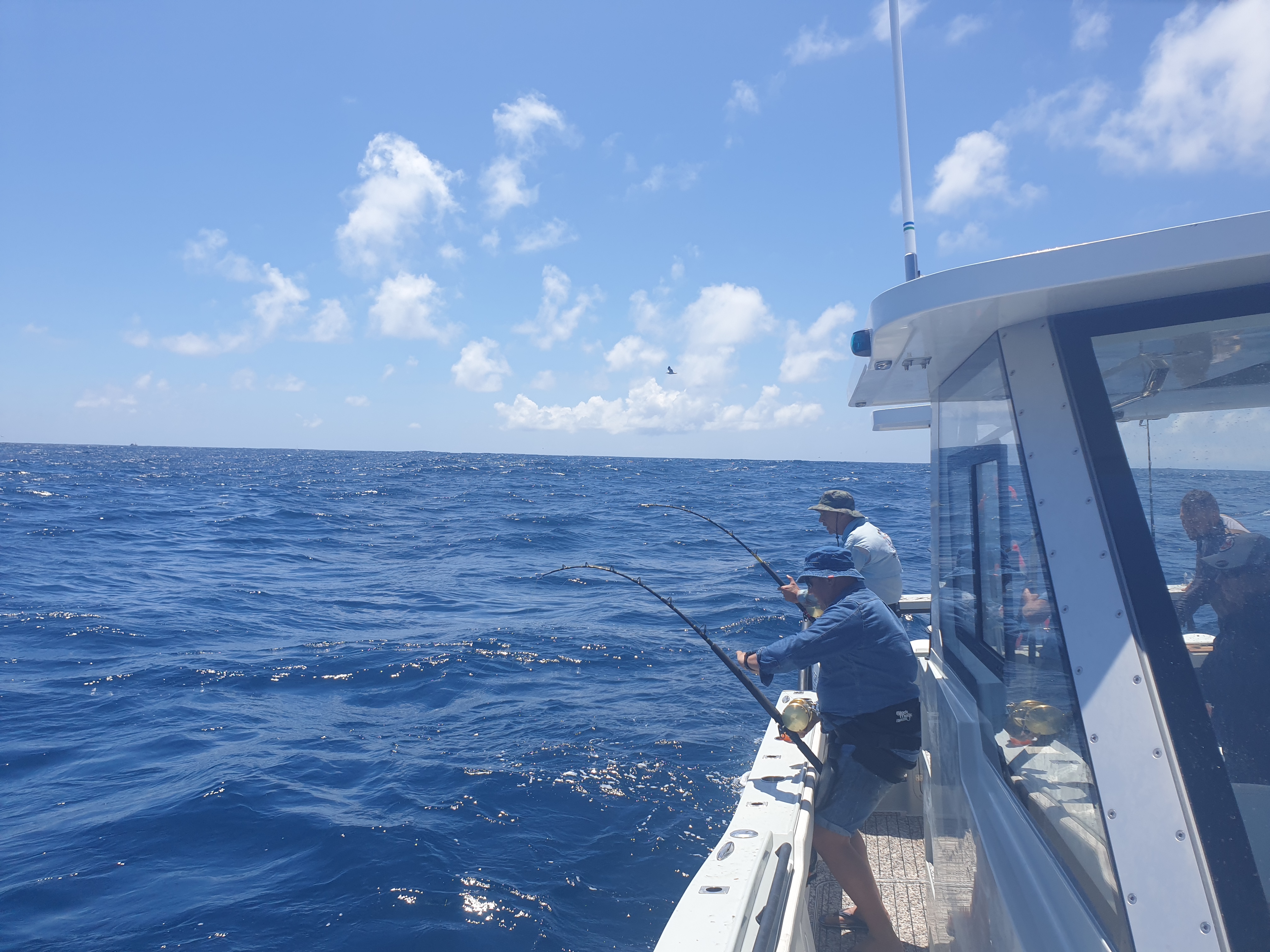 Factory construction